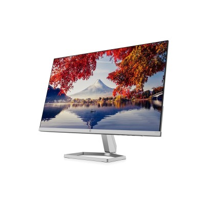 HP (23.8 Inch) with IPS Panel Technology