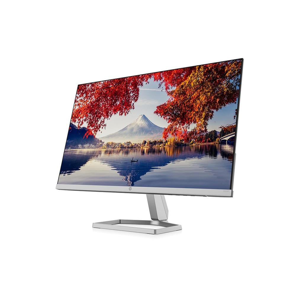 HP (23.8 Inch) with IPS Panel Technology